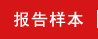 报告样本